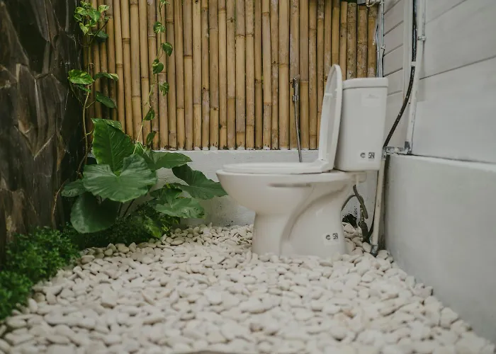 White * ウブド